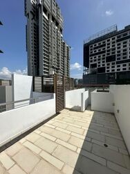 The Vision (D5), Terrace #564757281